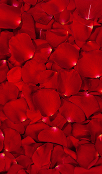 HEART NOTES
